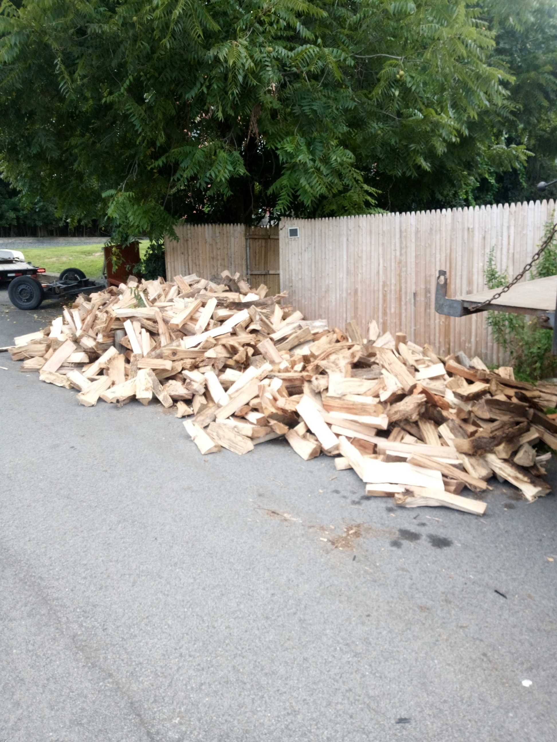 Seasoned firewood delivery placed near a wooded backyard
