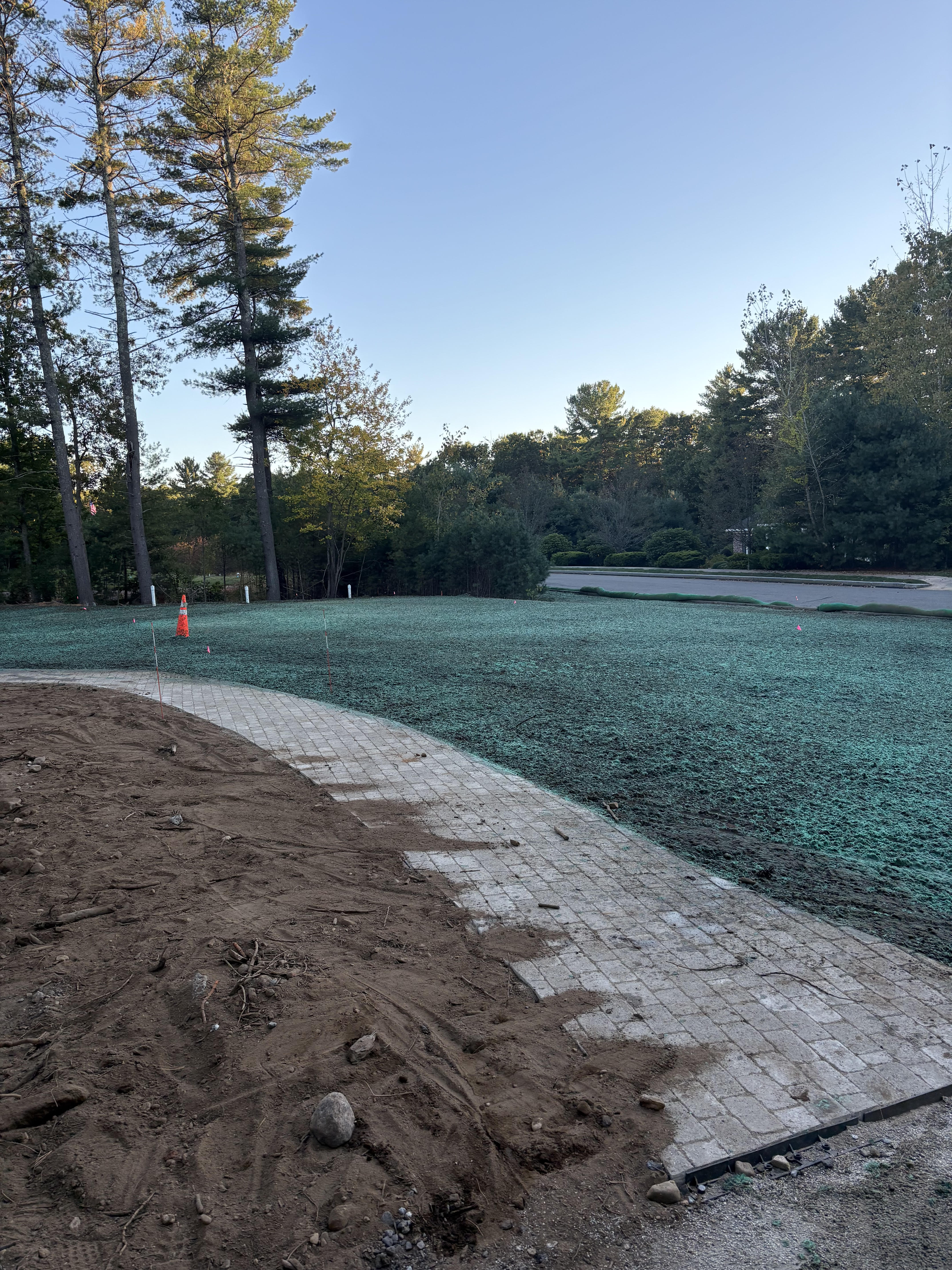 Hydroseeding Project