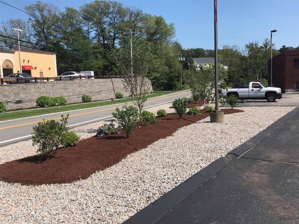 Commercial Landscape Design