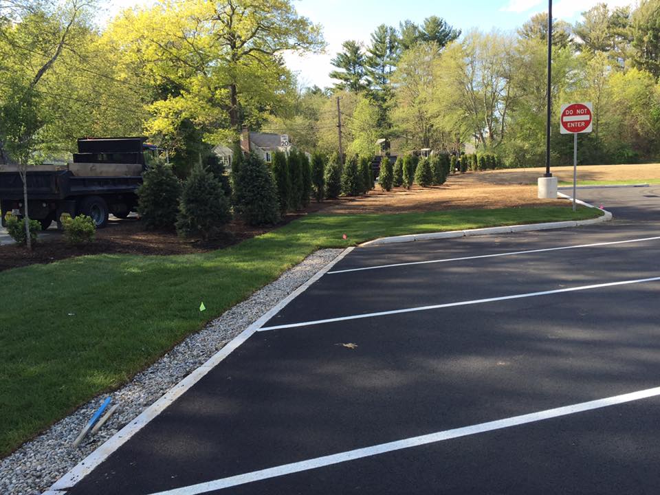 Commercial Parking Lot Landscaping