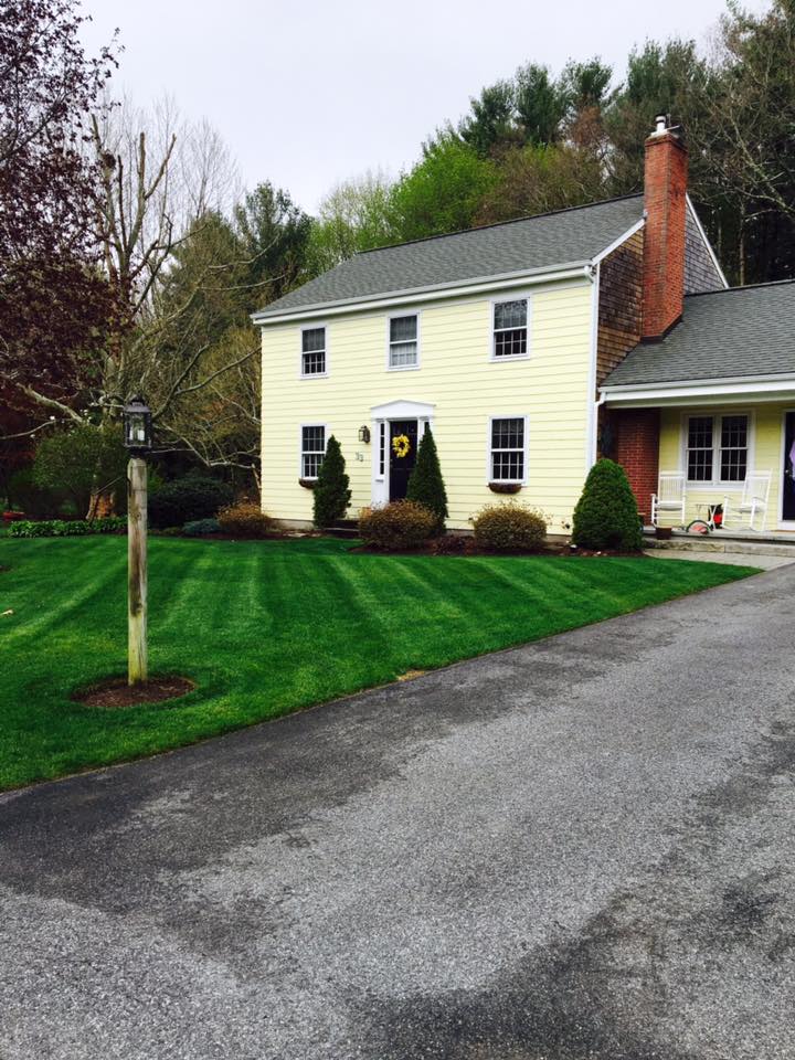 Front Yard Lawn Transformation